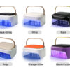 2IN1 Rechargeable Nail Lamp
